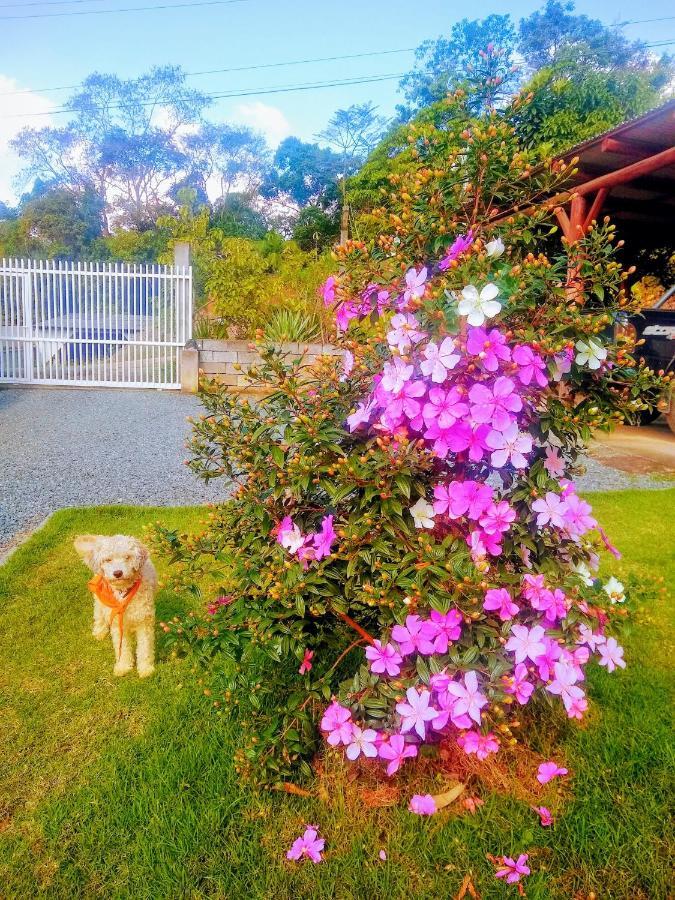 Le Petit Cherie Pansiyon Blumenau Dış mekan fotoğraf